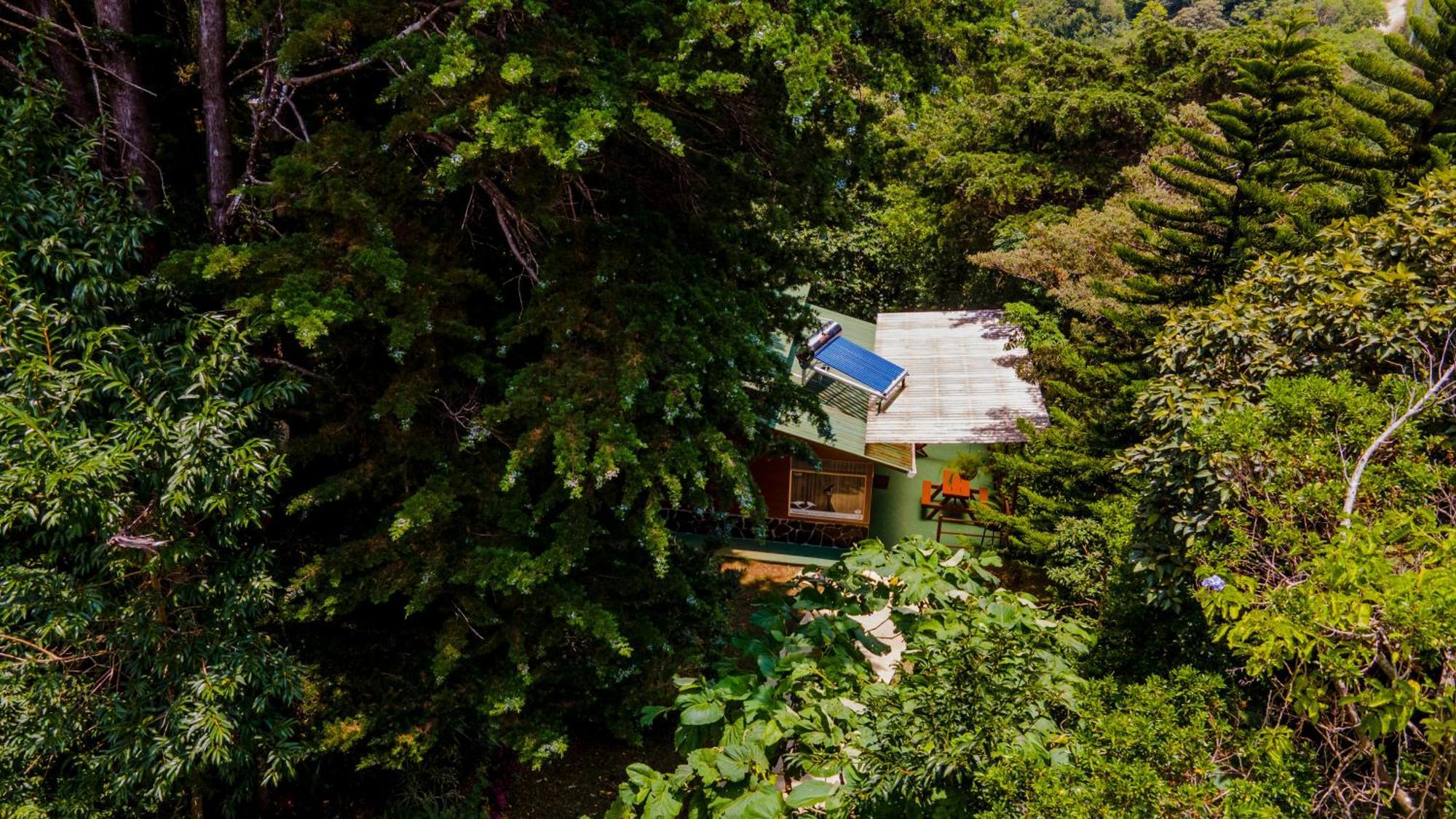 Los Pinos Cabins & Reserve Monteverde Exterior foto